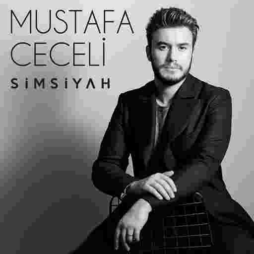Mustafa Ceceli Simsiyah (2017)