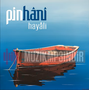 Pinhani Hayali (2023)